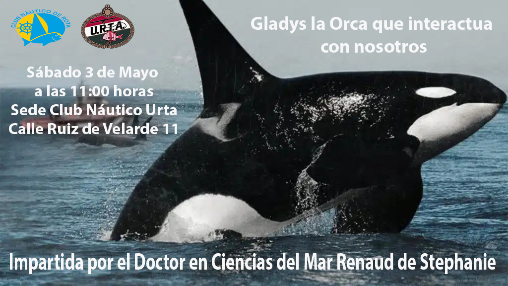 Gladys la Orca Ibérica que interacciona con nosotros